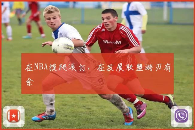 在NBA摸爬滚打，在发展联盟游刃有余