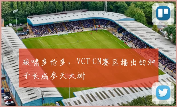 狼啸多伦多，VCT CN赛区播出的种子长成参天大树