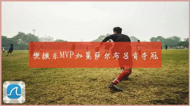 樊振东MVP加冕萨尔布吕肯夺冠