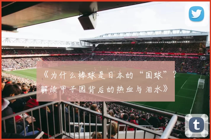 《为什么棒球是日本的“国球”？解读甲子园背后的热血与泪水》