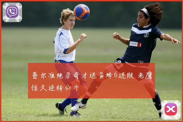 普尔准绝杀奇才送黄蜂6连败 老鹰惊天逆转公牛