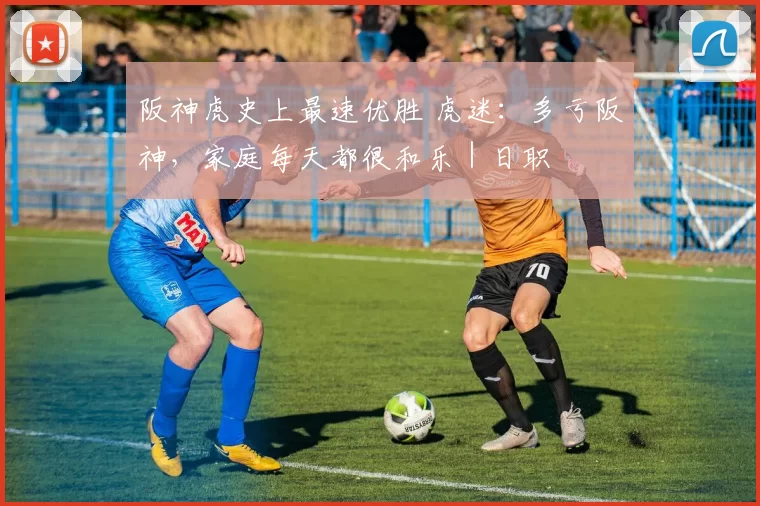 阪神虎史上最速优胜 虎迷：多亏阪神，家庭每天都很和乐｜日职