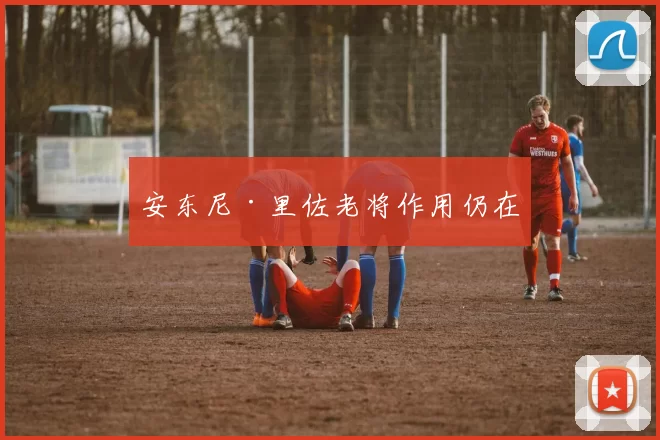 安东尼·里佐老将作用仍在