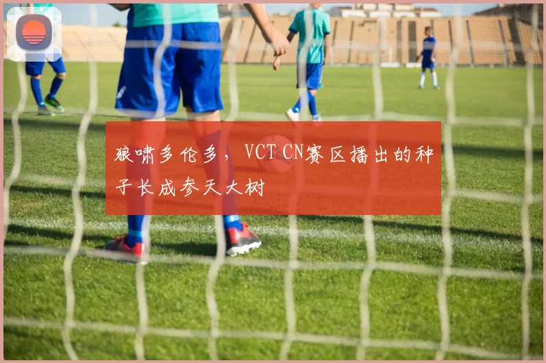 狼啸多伦多，VCT CN赛区播出的种子长成参天大树