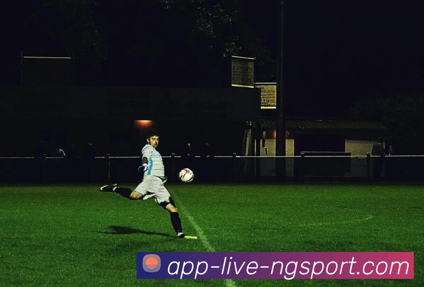 NG体育品牌故事