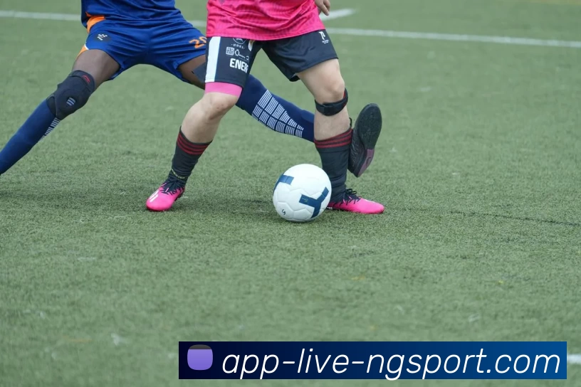 NG体育服务体系